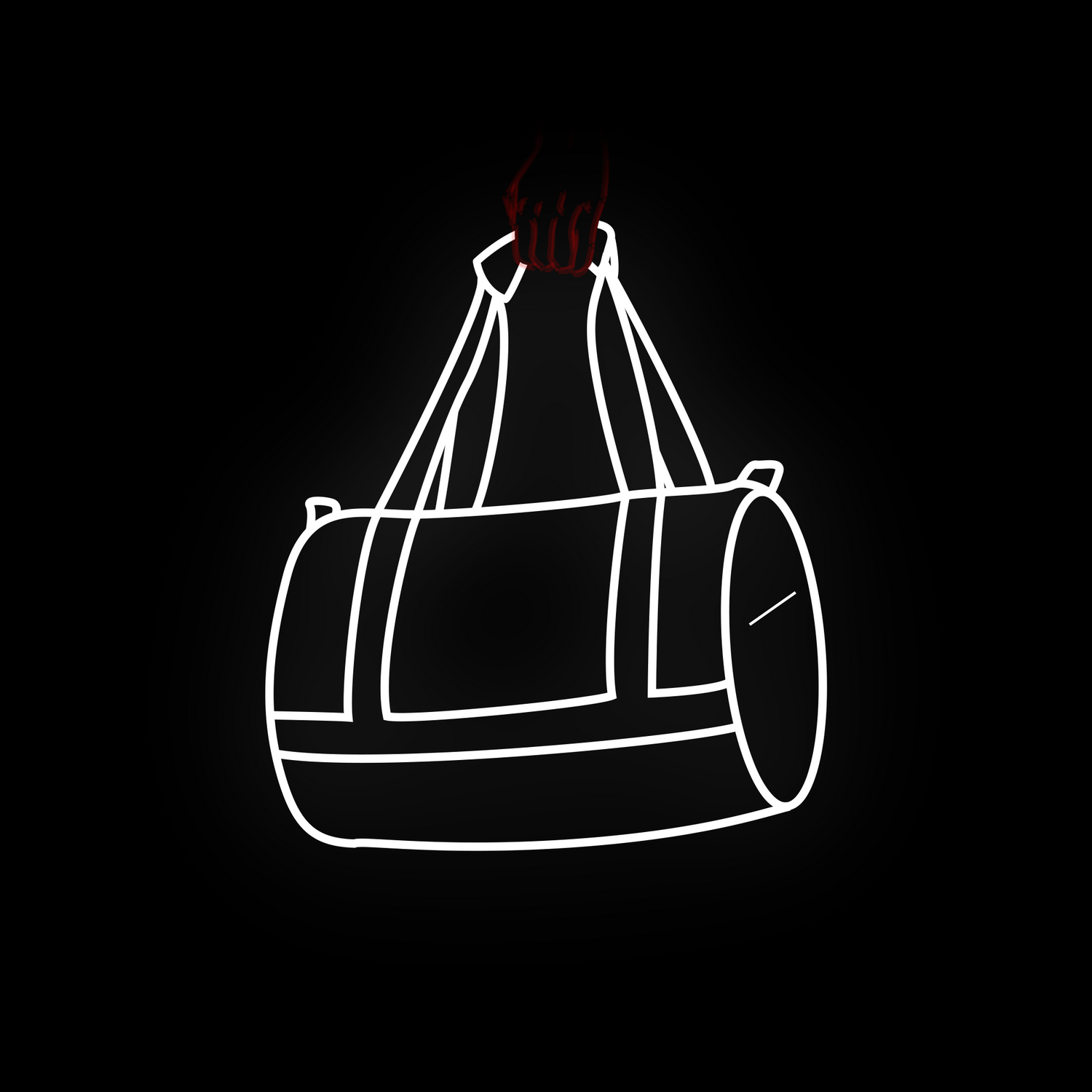 skr://bags/